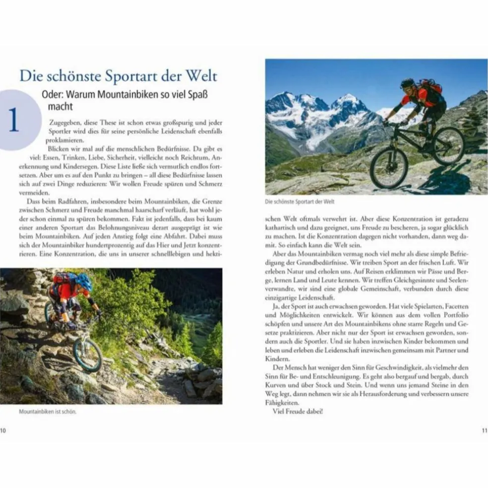 101 DINGE, DIE EIN ALPENÜBERQUERER WISSEN MUSS - Ratgeber