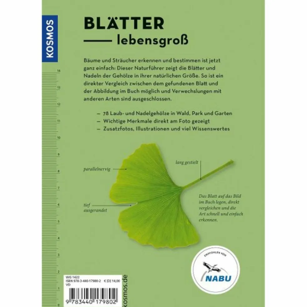 BÄUME AM BLATT ERKENNEN - 78 LAUB- UND NADELGEHÖLZE - Sachbuch