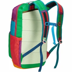 Cotopaxi CHIQUILLO 26L BACKPACK - Tagesrucksack