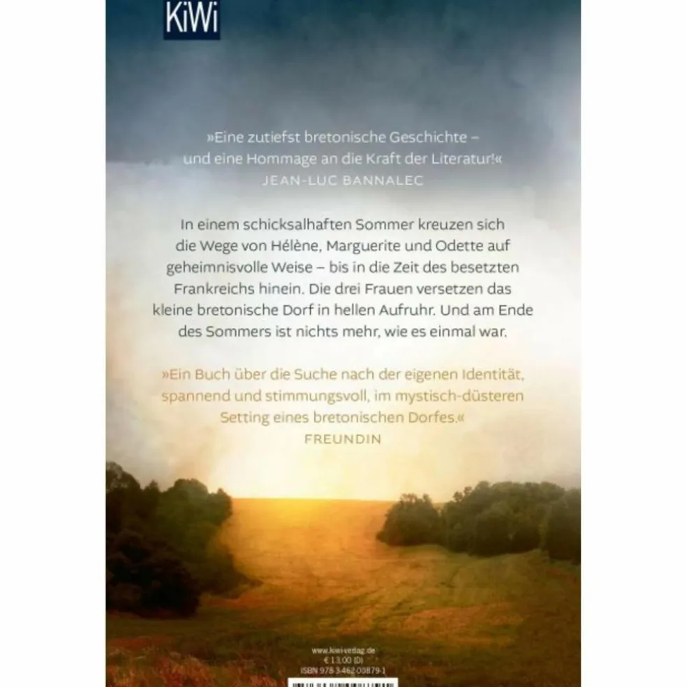DER SOMMER, IN DEM ALLES BEGANN - Roman