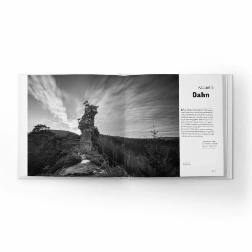 DIE PFALZ - DAS BUCH