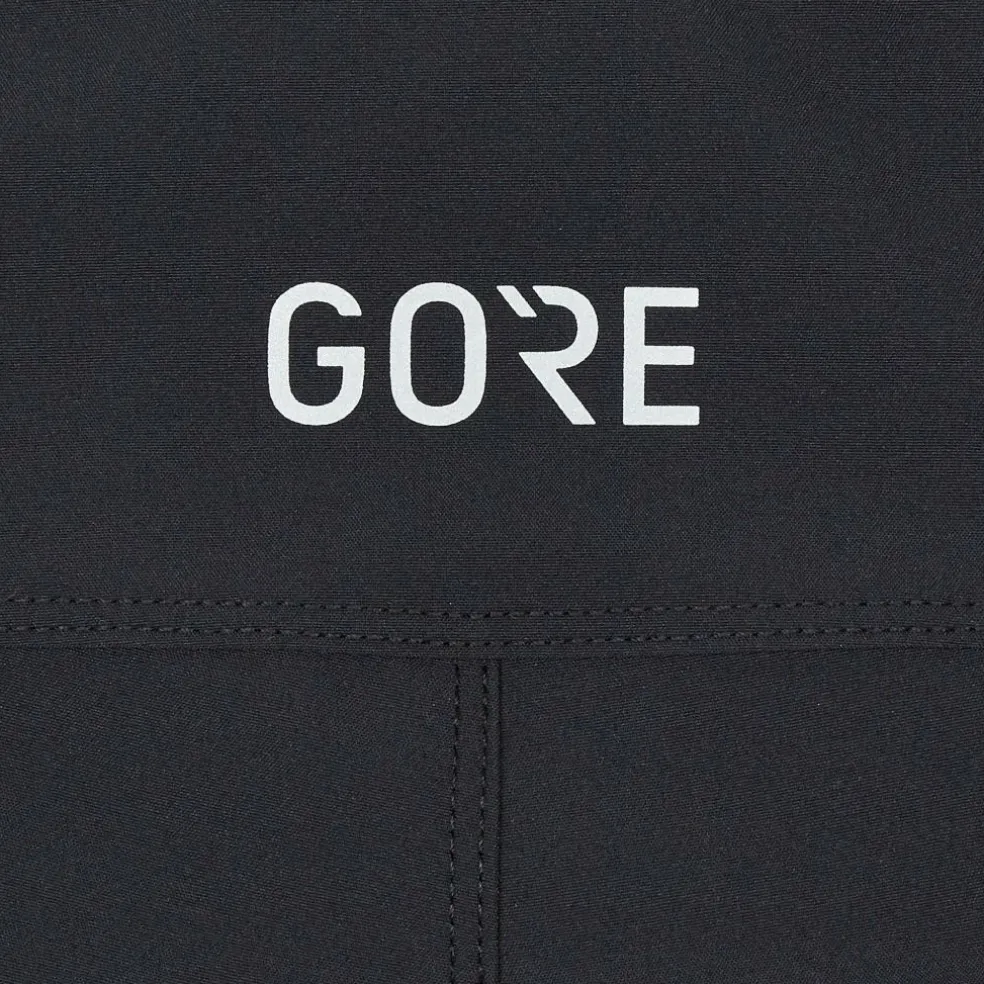 Gore Wear PASSION SHORTS Damen - Radshorts
