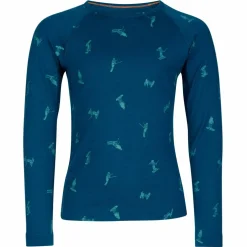 Icebreaker K MERINO 200 OASIS LS CREWE SNOW DAY Kinder - Langarmshirt