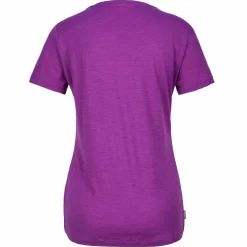 Icebreaker W MERINO 150 TECH LITE SS SCOOP TEE PANAX Damen - Funktionsshirt
