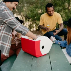 IGLOO PLAYMATE PAL PASSIVE COOLER - Kühlbox