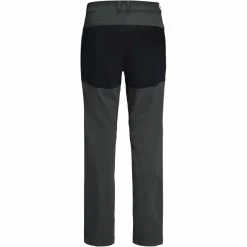 Jack Wolfskin HIKING ALPINE PANTS M Herren - Trekkinghose
