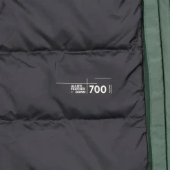 Jack Wolfskin ICECAPE 2L DOWN INS JKT W RDS Damen - Daunenjacke