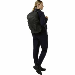 Jack Wolfskin WANDERMOOD PACK 20 - Tagesrucksack