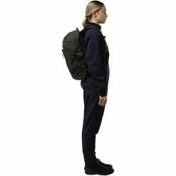 Jack Wolfskin WANDERMOOD PACK 20 - Tagesrucksack