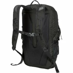 Jack Wolfskin WANDERMOOD PACK 20 - Tagesrucksack