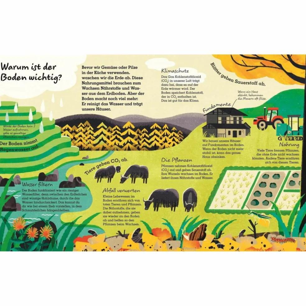 LEBEN UNTER DER ERDE - Kinderbuch