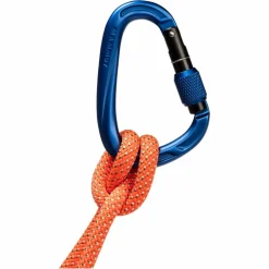 Mammut CRAG HMS SCREWGATE CARABINER - Karabiner