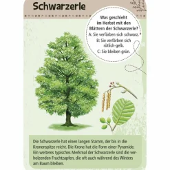 Moses Verlag EXPEDITION NATUR 50 HEIMISCHE BÄUME - Reisespiel