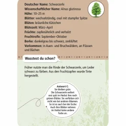 Moses Verlag EXPEDITION NATUR 50 HEIMISCHE BÄUME - Reisespiel