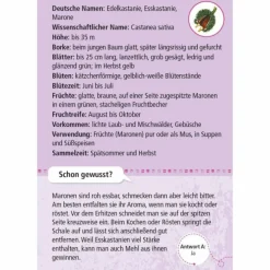 Moses Verlag EXPEDITION NATUR 50 ESSBARE WILDPFLANZEN - Reisespiel