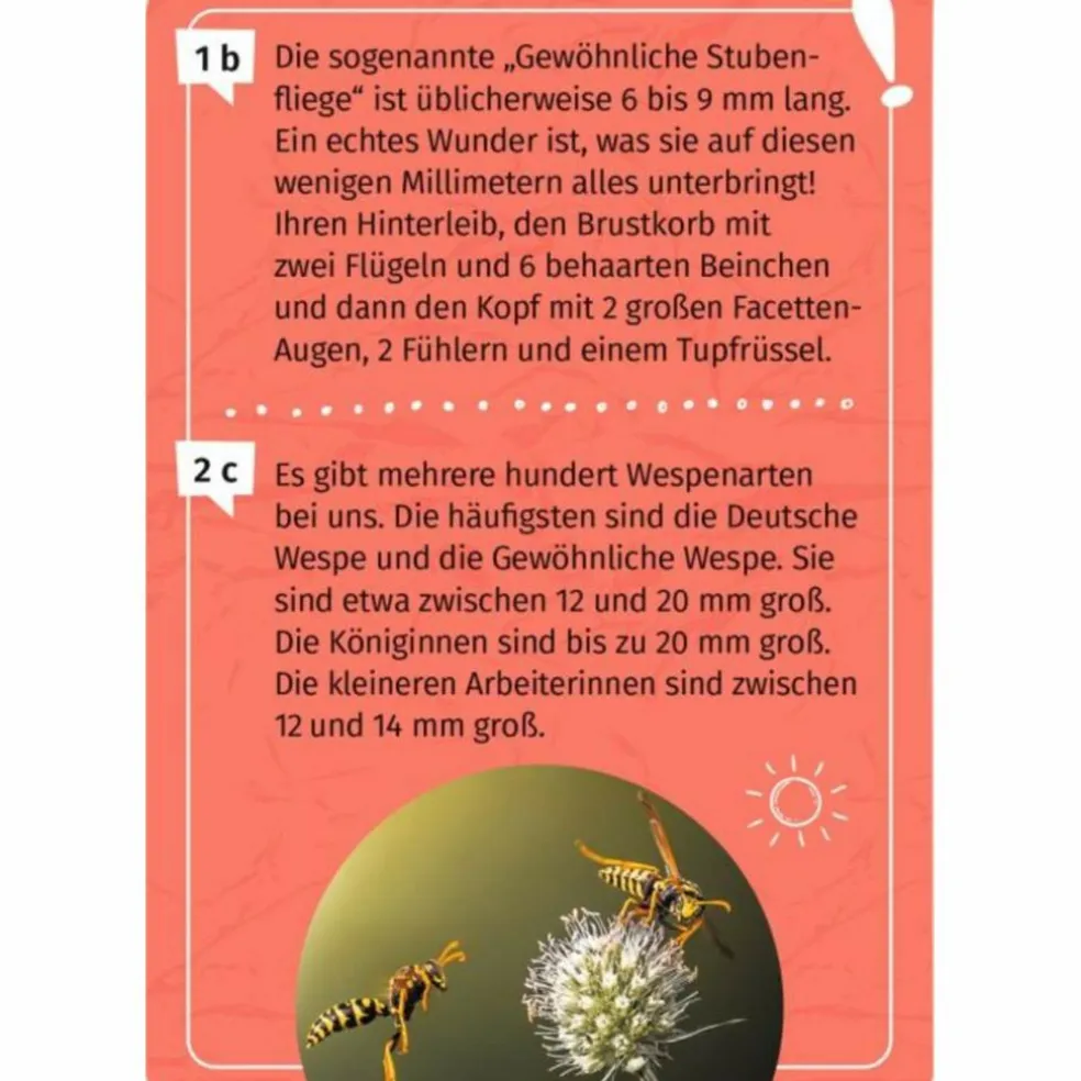 Moses Verlag MEIN BECHERLUPEN-FORSCHERQUIZ - Reisespiel