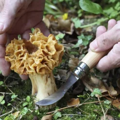 Opinel NO 08 PILZMESSER MIT BÜRSTE Unisex - Klappmesser