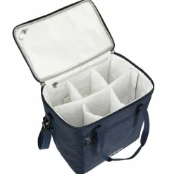 Tatonka COOLER BAG SIX PACK - Kühltasche