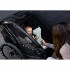 Thule CHARIOT SPORT DOUBLE NATURAL GOLD - Fahrradanhänger