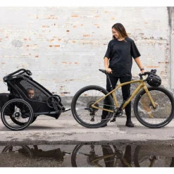 Thule CHARIOT SPORT DOUBLE NATURAL GOLD - Fahrradanhänger