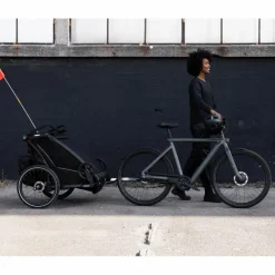 Thule CHARIOT SPORT DOUBLE NATURAL GOLD - Fahrradanhänger