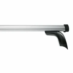 Thule THULE PROBAR EVO, 120 CM, 2-PACK - Dachträger