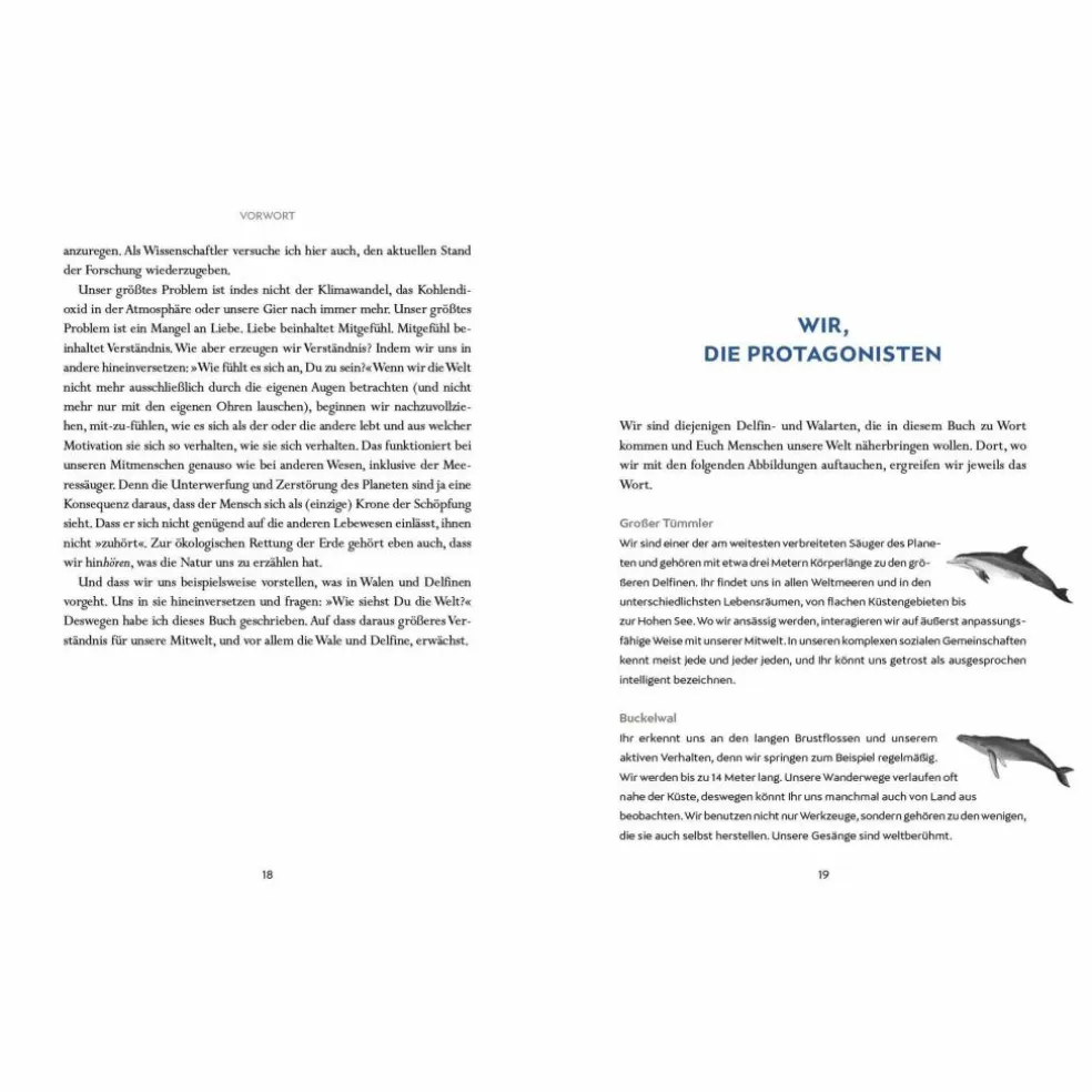 WIR WALE - Sachbuch